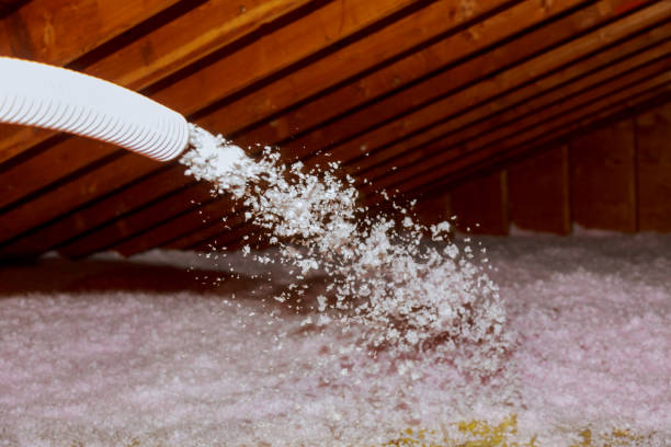 Best Cellulose Insulation in Sunnyside, CA