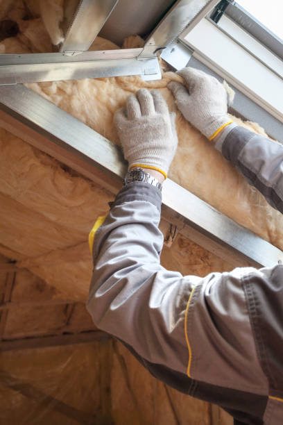 Types of Insulation We Offer in Sunnyside, CA