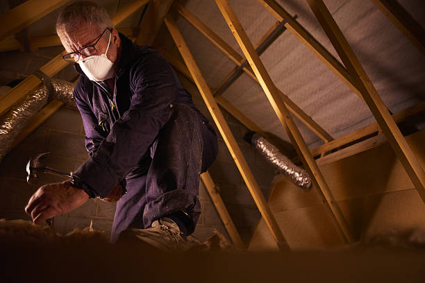 Best Commercial Insulation in Sunnyside, CA